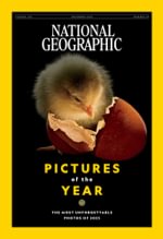 National Geographic Interactive