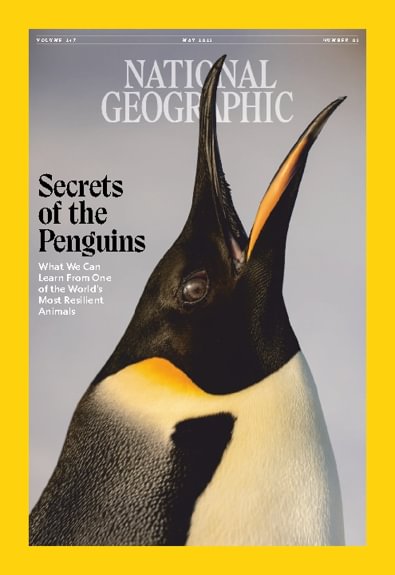 National Geographic Interactive digital cover