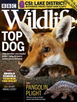 BBC Wildlife Magazine