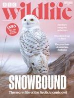 BBC Wildlife Magazine