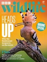 BBC Wildlife Magazine