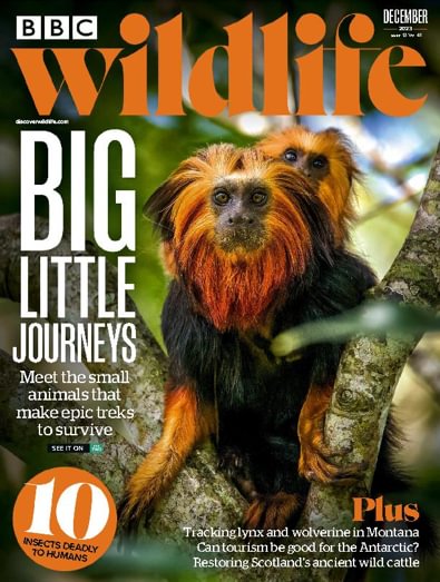 BBC Wildlife Magazine digital cover