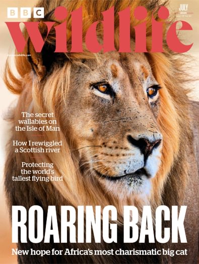 BBC Wildlife Magazine digital cover