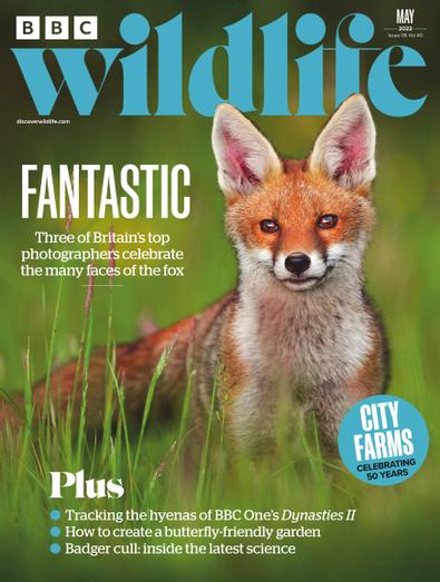 BBC Wildlife Magazine digital cover