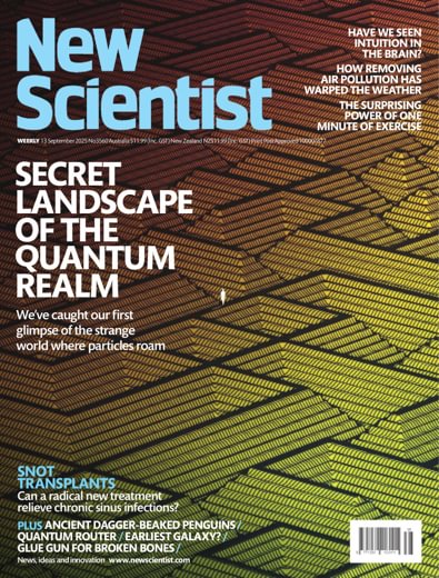New Scientist Australian Edition digital cover