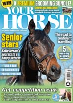 Your Horse