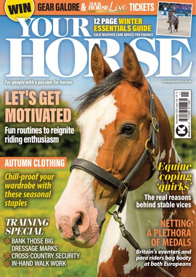 Your Horse digital cover