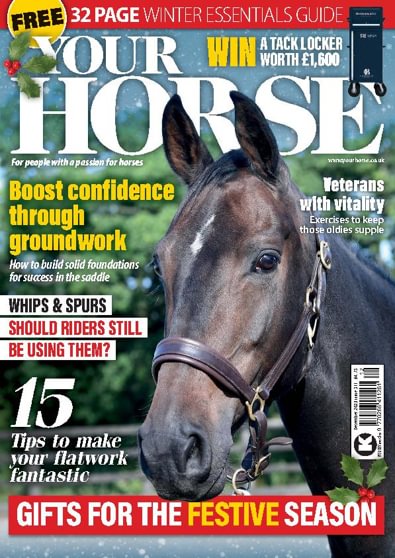 Your Horse digital cover