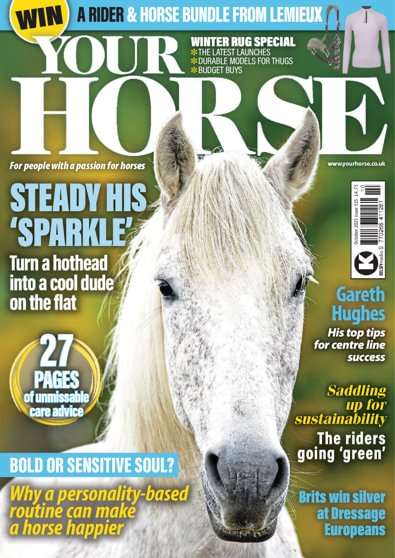 Your Horse digital cover