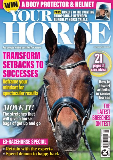 Your Horse digital cover
