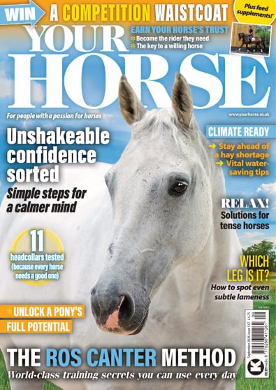 Your Horse digital cover