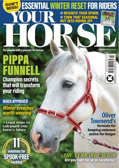 Your Horse digital cover