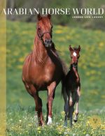 Arabian Horse World