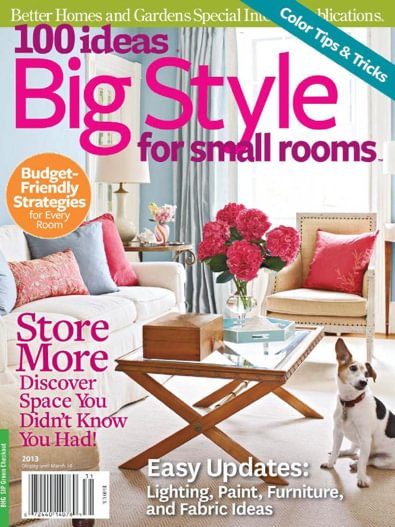 100 Decorating Ideas digital cover