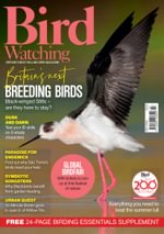 Bird Watching