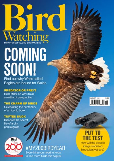 Bird Watching digital cover