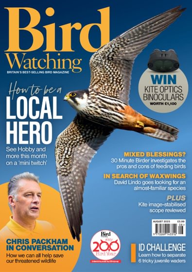 Bird Watching digital cover