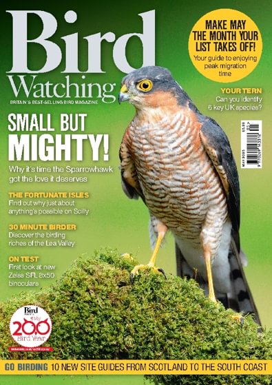Bird Watching digital cover