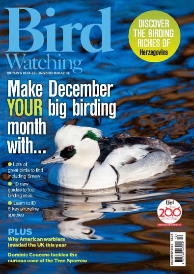Bird Watching digital cover