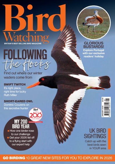 Bird Watching digital cover