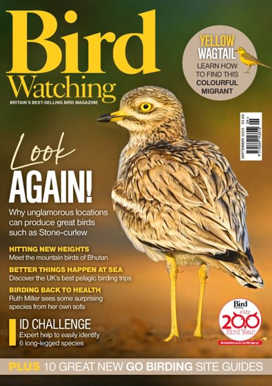 Bird Watching digital cover