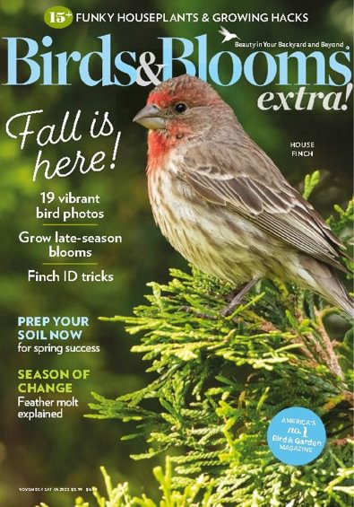 Birds and Blooms Extra digital cover