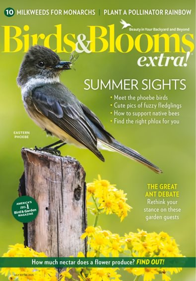Birds and Blooms Extra digital cover