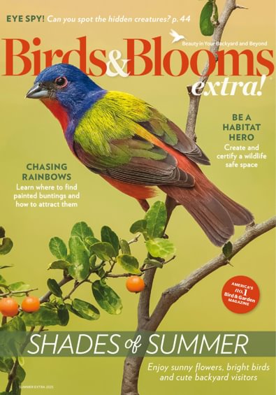 Birds and Blooms Extra digital cover