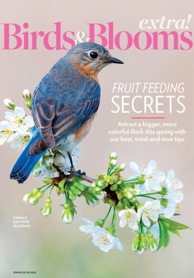 Birds and Blooms Extra digital cover
