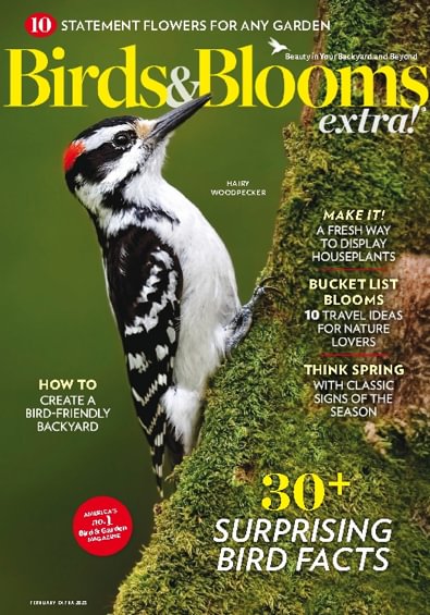 Birds and Blooms Extra digital cover