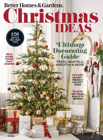 Christmas Ideas digital cover
