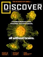 Discover