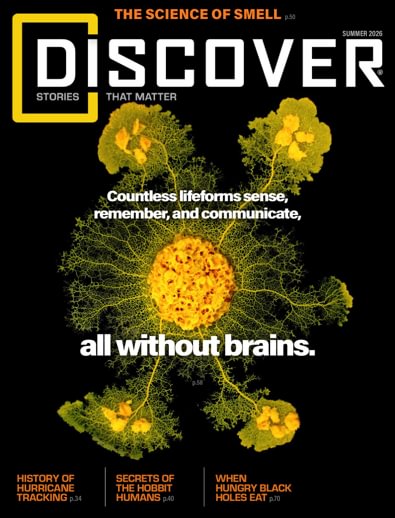 Discover digital cover