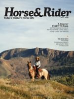 Horse & Rider