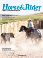 Horse & Rider