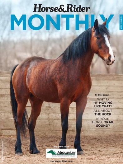 Horse & Rider digital cover