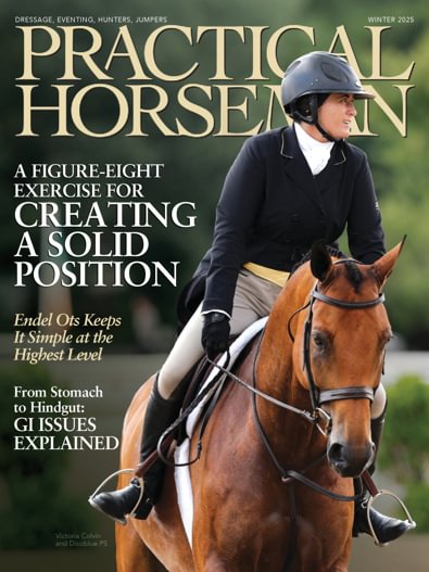 Practical Horseman digital cover