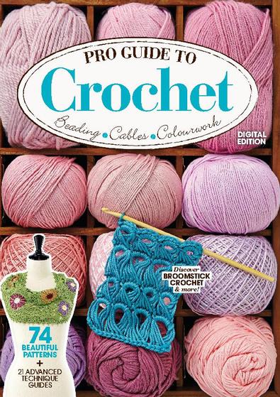 Pro Guide to Crochet digital cover