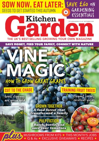 Kitchen Garden digital cover