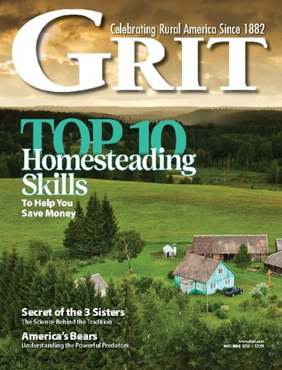 Grit digital cover