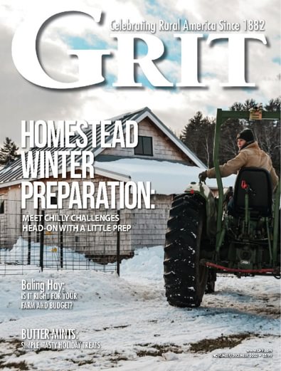 Grit digital cover