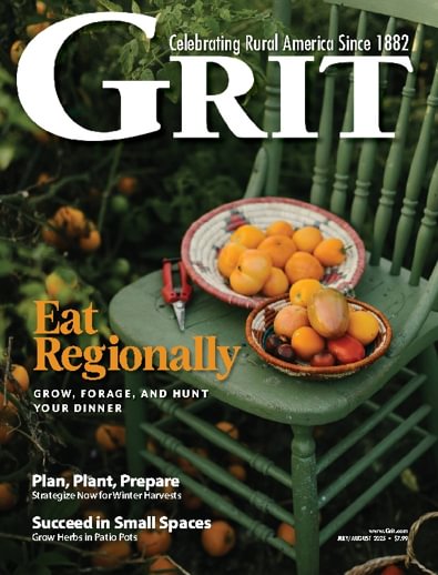 Grit digital cover