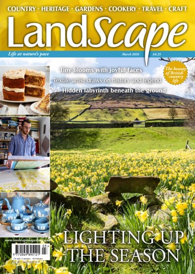 Landscape Magazine digital cover