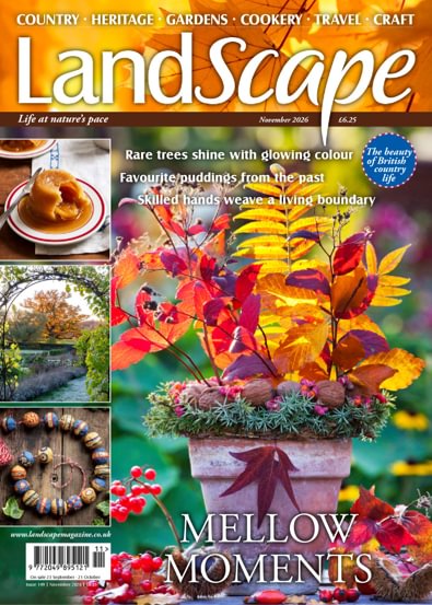 Landscape Magazine digital cover
