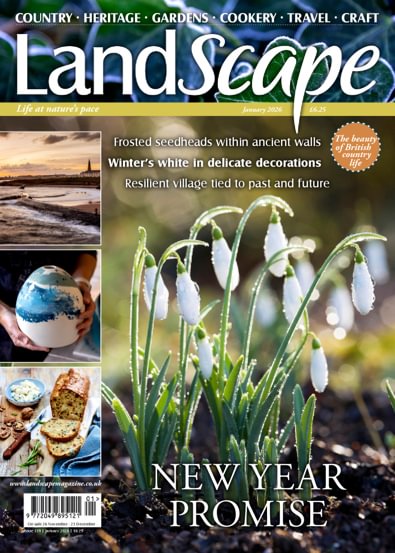 Landscape Magazine digital cover