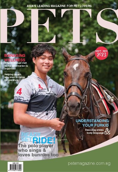 Pets Magazine digital cover