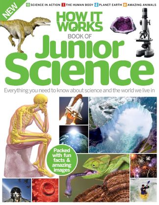 Jobs writing science textbooks