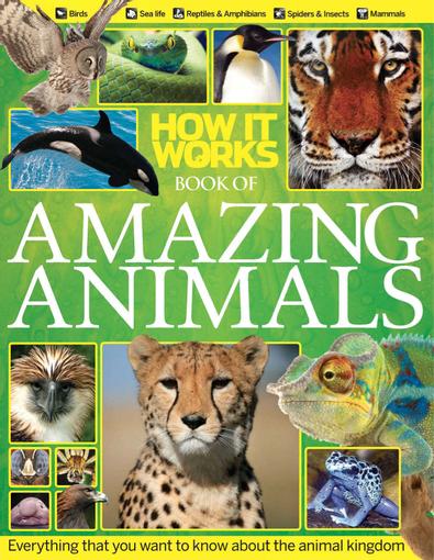 How It Works Book Of Amazing Animals Digital Subscription