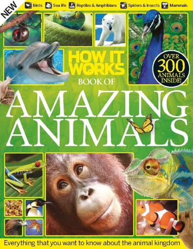 How It Works Book of Amazing Animals digital cover