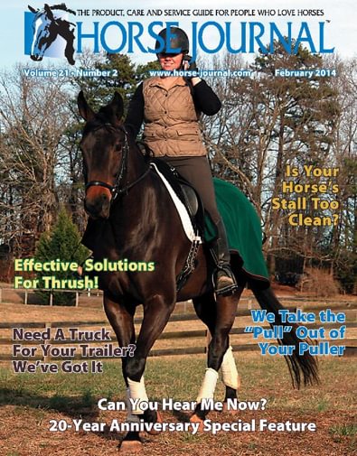 Horse Journal digital cover